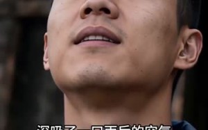 《枝头上的王座》（43集）免费看短剧完整不卡顿