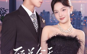 《顾总今天也在求入赘》（80集）免费看短剧全集不卡顿