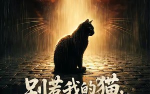 《别惹我的猫，它是远古魔神！（56集）短剧全集免费畅快看》
