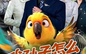 《我孙子怎么成鹦鹉了》（71集）看短剧乐翻天全集放送