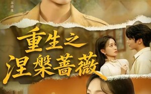 《重生之涅槃蔷薇》（80集）免费看短剧全集不断