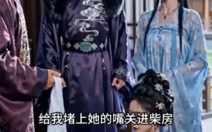 《重生后我嫁给了太子》（49集）短剧全集免费看超带感