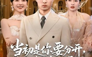 《当初是你要分开，看到遗产怎么哭了？》（70集）在线看短剧精彩大结局