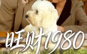 《旺财1980》（83集）短剧免费看全集超带感