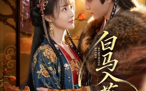 《白马入芦花》（59集）短剧精彩全集免费看