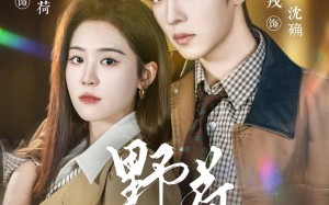 《野荷荒长》（86集）免费短剧全集一追到底