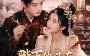 《陛下他又在装可怜了》（80集）超火短剧在线尽情追