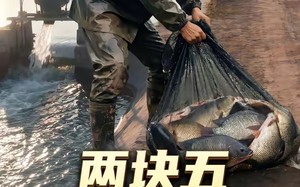 《两块五收我的鱼？做梦！（15集）》超火短剧在线尽情看