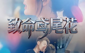 《致命鸢尾花》（60集）短剧在线畅享无广告