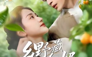 《乡野藏金婿》（50集）看短剧全集享畅快体验