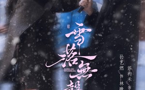 《雪落无声》（20集）免费看短剧全集不停歇