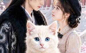 《团宠猫主子，全锦衣卫偷听我心声》（60集）免费在线短剧全集赏