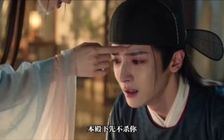 《权臣是我心尖宠》（32集）在线短剧全集畅快追看
