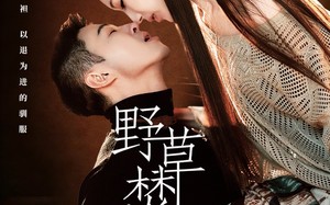 《野草焚尽》（74集）短剧免费看不停超爽体验