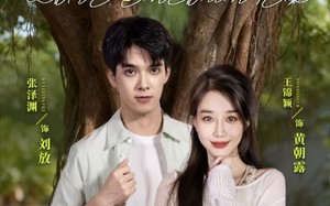 《不期而遇》（62集）短剧免费畅享全集追