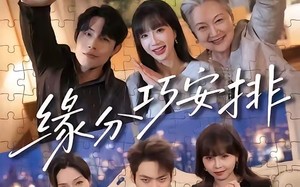 《缘分巧安排》（64集）热门短剧在线免费追看