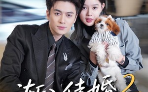 《渐入佳婚2》（103集）短剧免费畅享全集