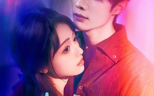 《港城回响》（79集）畅享短剧全集在线观看