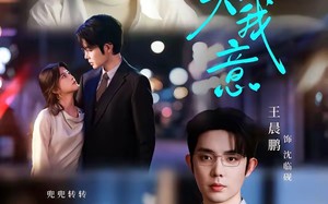 《泠风知我意》（80集）一口气追完短剧全集