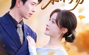 《浮生烬禾木殇》（70集）精彩短剧全集免费看