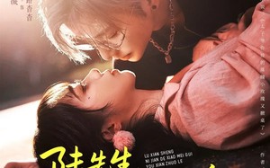 《陆先生，你捡的小玫瑰又掀桌了》（74集）免费看短剧全集热播