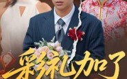 《彩礼加了8万8》（54集）短剧精彩不停一口气追完