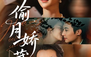 《偷月娇藏》（73集）畅享短剧全集看不停