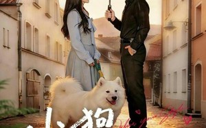 《小狗不会冬眠》（70集）畅享短剧免费全集追剧