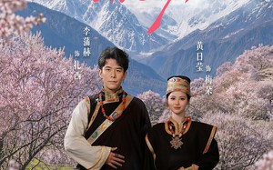 《去桃花盛开的地方2》（16集）短剧精彩全集抢先看