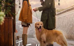 《乔医生，我想帮你收租》（81集）热门短剧在线看个过瘾