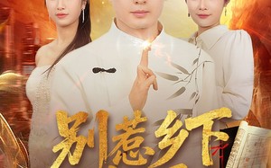 《别惹乡下女婿》（80集）短剧免费全集在线追剧爽