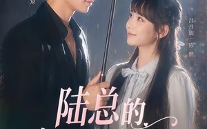 《陆总的宠溺小甜妻》（61集）免费短剧一集不落看完
