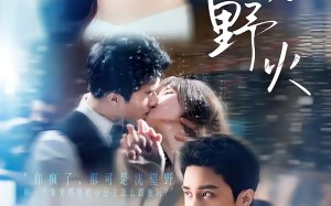 《夏吻野火》（80集）短剧精彩全集免费畅看