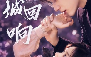 《港城回响》（90集）超燃短剧剧情在线追不停
