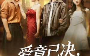 《爱意已决不再相望》（70集）高清短剧在线免费看