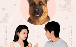 《穿越汪星来爱你》（62集）短剧精彩全集免费畅看