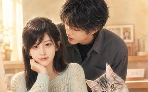 《点点星光落心头》（81集）短剧全集在线免费观赏