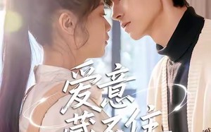 《爱意藏不住》（24集）爆款短剧免费在线追完