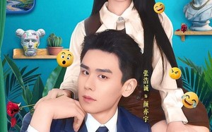 《报告总裁，夫人她又呆又飒》（82集）热门短剧在线畅快看
