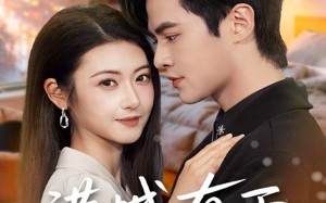 《港城有雨》（80集）短剧免费畅看全集