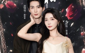 《偏偏再相逢》（54集）免费看短剧全集不停歇