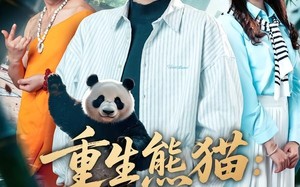 《重生熊猫：开局太极拳震惊全球》（70集）热门短剧一口气全追完