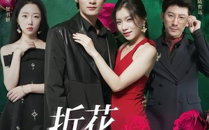 《折花枝上开》（51集）短剧全集免费在线畅看