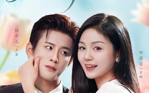 《婚情已久》（80集）看短剧一气呵成到结局