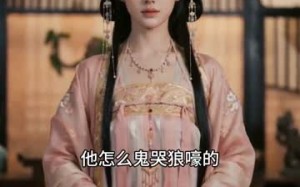 《双家团宠》（41集）在线追短剧精彩不停歇