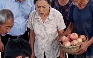 《嫌我卖桃黑心？我不收后村里急了》（30集）爆笑短剧免费在线看