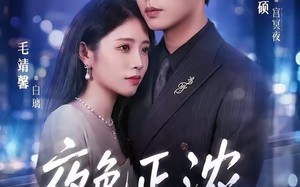 《夜色正浓》（65集）短剧免费畅享完整剧情