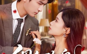 《绸红玫瑰》（86集）短剧在线追剧超爽