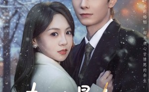 《夫人太暴力，秦总每天带伤上班》（80集）短剧精彩剧情免费畅看