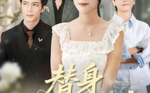 《替身表演法则》（85集）短剧免费全集在线畅享